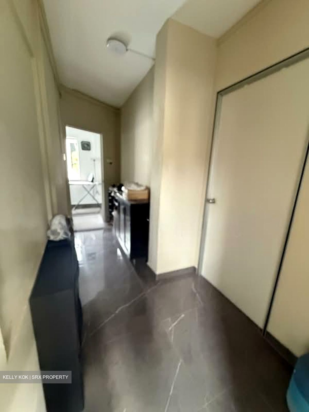 Sing Joo Walk (D8), Terrace #581281321